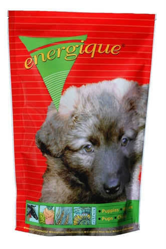 Energique Nr 2 Puppy