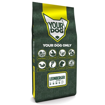 Yourdog Leonberger Volwassen